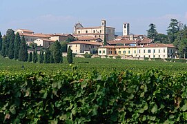 Vineyards in Franciacorta