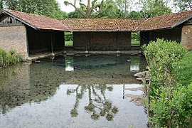 La source de l'Orvanne sur Saint-Valérien. La tache bleuâtre (milieu de la photo) est l'endroit exact de la source.