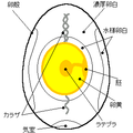 2004年6月1日 (火) 14:49時点における版のサムネイル