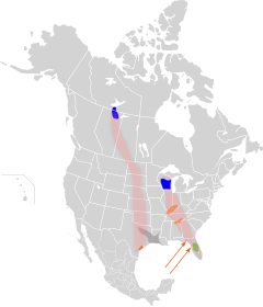 azul = nidificación, rosa = ruta migratoria, verde = presente todo el año, gris = presente todo el año (experimental), naranja = invernada.