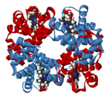 DNA Double Helix