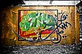 My name is Palestine, by EL Seed, Montreal, 2010