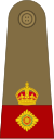 Lieutenant-Colonel