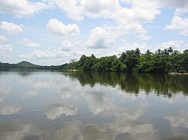 Het eiland Tiwai in Zuid-Sierra Leone.