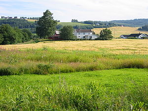 Jordbrukslandskap i Verdals kommun.