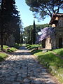 Via Appia near Quarto Miglio (valued)