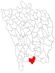 Location in Vaslui County