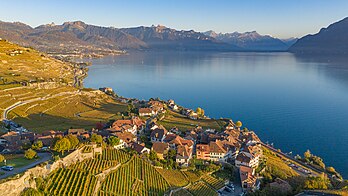 Vue sur les vignobles en terrasses de Lavaux et le village de Rivaz, sur les bords du Léman (canton de Vaud). (définition réelle 5 463 × 3 073)