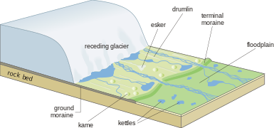 Glaciology