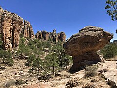 Small stand of trees one a rocky hillside with cliffs in the background