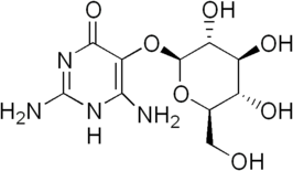 Structuur van vicine