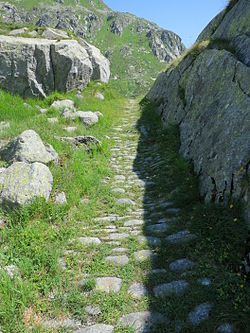 Saumpfad nahe der Gotthard-Passhöhe