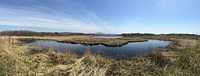 Мыс Слепиковского, Холмский городской округ.