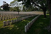 Union Plot in Cypress Hills.