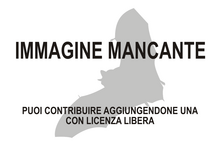 Immagine di Mops leucostigma mancante