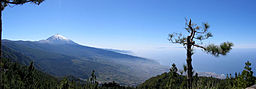 Valle de La Orotava med Teide i bakgrunden.