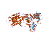 2oa0: Crystal structure of Calcium ATPase with bound ADP and cyclopiazonic acid