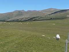 Le Puigmal, à la frontière avec l'Espagne, dans le sud.