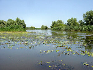 De delta nabij de stad