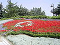 Image 12Flag of Turkey, from flowers