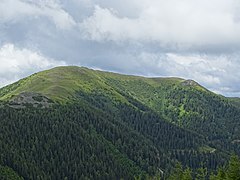 Blick vom Speikkogel auf den Gipfelbereich des Roßbachkogels.