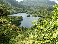 Nationalpark Morne Trois Pitons