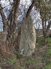 Menhir du Pra-Bourdin