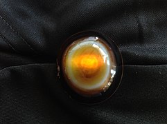 Sardonyx, the traditional birthstone for August