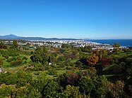 ミカン畑から大山と相模湾を眺める