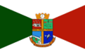 Bandeira de Palhoça