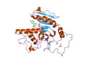 2o1h: Naturally occurring mutation of Humna ABO(H) Galactosyltransferase in complex with UDP: GTB/M214T_UDP