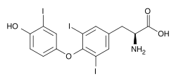 ثلاثي يود الثيرونين (T3، pictured) and هرمونات الغدة الدرقية (T4) are both forms of هرمونات الغدة الدرقية.