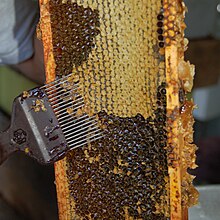 Fork-Beekeeping.jpg