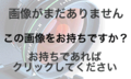 2022年6月4日 (土) 02:36時点における版のサムネイル