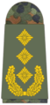 Generalleutnant (Alman Kara Kuvvetleri)