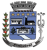 Official seal of Pinheiral