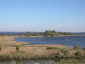 Image 18Tidal wetlands of the Chesapeake Bay, the largest estuary in the nation and the largest water feature in Maryland (from Maryland)