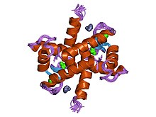 PDB 1xyd EBI.jpg