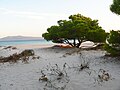 Porto Pino, Sant'Anna Arresi