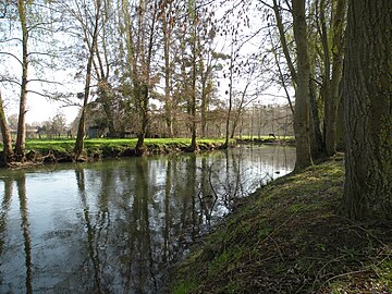 Le Thérain à Rochy-Condé.