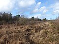 Tourbière de Kerfontaine : paysage de landes.