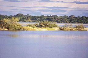 Die Rio Araguaia in Augustus 2004