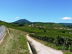 Blienschwiller et les vignes, au sud.