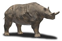 Reconstrución dun Megacerops