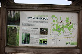 Muziekbos