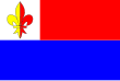 Vlag