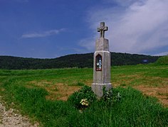 Widok z Iwkowej na Bukowiec