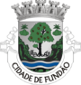 Brasão de Fundão