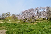 Komuroyama Kofun, funkyu-2.jpg