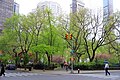 Madison Square Park in 2013